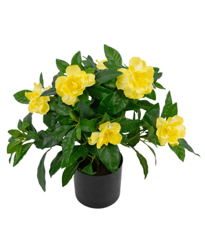 Kunstplanten Gardenia UV 39 cm er en frodig grøn kunstig plante med store, levende gule blomster og blanke blade i en sort potte, mod en almindelig hvid baggrund.