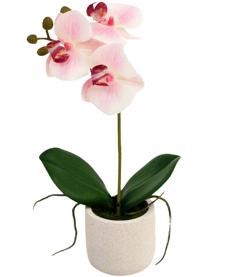Artificial Orchid Real Touch 30 cm pink/hvid har tre lyserøde blomster og grønne blade i en simpel hvid potte, perfekt til at lyse ethvert rum op.