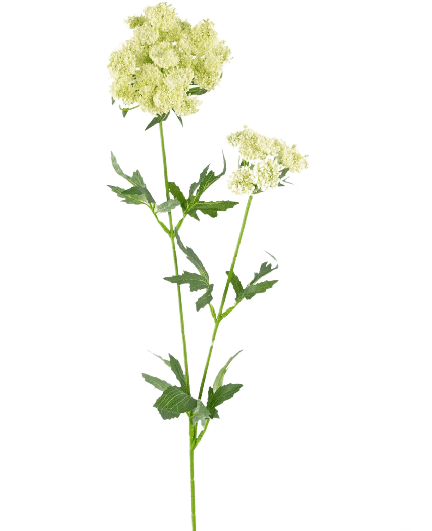 Artificial Flower Lace Flower 76 cm hvid er en enkelt kunstig stilk med bundter af små, lysegrøn-hvide blomster og takkede, dybt fligede grønne blade, mod en almindelig hvid baggrund.