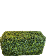 The Artificial Hedge Boxwood Roman Style (90 x 35 x 50 cm) er en tæt, rektangulær grøn hæk med små blade, isoleret på en hvid baggrund.