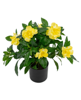 Kunstplanten Gardenia UV 39 cm er en frodig grøn kunstig plante med store, levende gule blomster og blanke blade i en sort potte, mod en almindelig hvid baggrund.