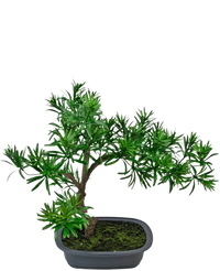 Kunstig plante Bonsai Podocarpus 40 cm