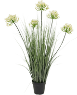Kunstgræs Hvid Agapanthus Løg Græspotte 90cm Brandhæmmende er en kunstig plante i en potte med høje grønne blade og seks bundter af små, lysegule blomster på lange stængler, mod en almindelig hvid baggrund.