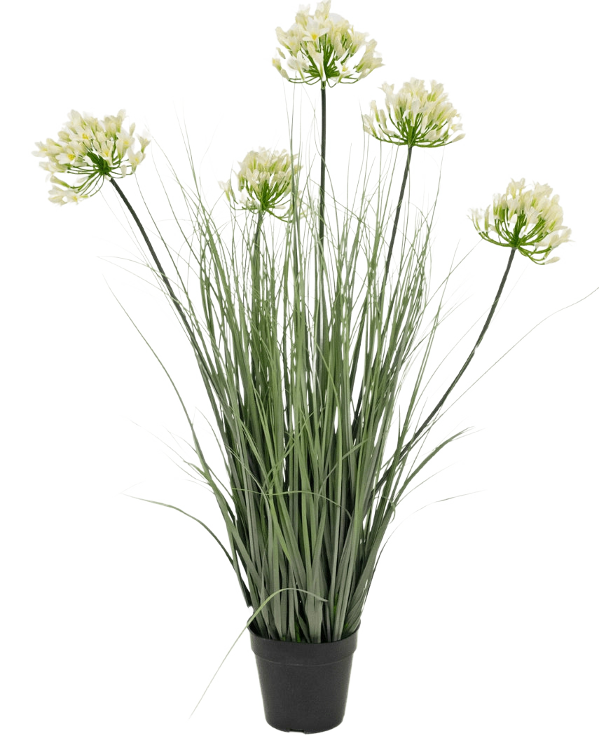 Kunstgræs Hvid Agapanthus Løg Græspotte 90cm Brandhæmmende er en kunstig plante i en potte med høje grønne blade og seks bundter af små, lysegule blomster på lange stængler, mod en almindelig hvid baggrund.