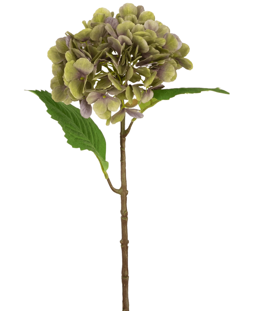 Artificial Hydrangea Deluxe 55 cm grøn/lilla har en enkelt kunstig hortensia-stængel med grønne og lilla kronblade og to grønne blade på en almindelig hvid baggrund.