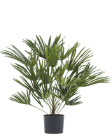 Artificial Plant Baby Palm Fan i potte UV 50 cm har lange, slanke grønne blade i en stilfuld potte - ideel til at tilføje et elegant touch til dit interiør eller til at kombinere med dekorative potter for ekstra flair.