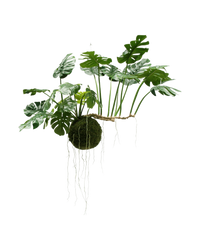 Kunstig hængeplante Monstera Deluxe 80 cm