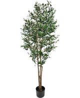 De Kunst olijfboom UV 180 cm is een hoge nep olijfboom met slanke takken en groene bladeren, UV-bestendig, geleverd in een eenvoudige zwarte pot en mooi uitgelicht tegen een witte achtergrond.