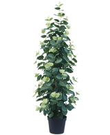 Kunstplanten Eucalyptus 76 cm er en høj, frodig kunstig eukalyptusplante med runde grønne blade i en sort potte, mod en almindelig hvid baggrund.