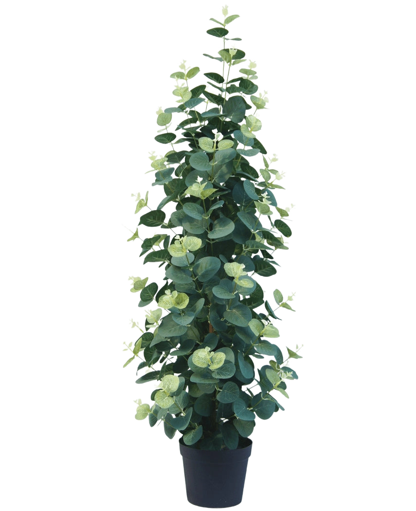 Kunstplanten Eucalyptus 76 cm er en høj, frodig kunstig eukalyptusplante med runde grønne blade i en sort potte, mod en almindelig hvid baggrund.
