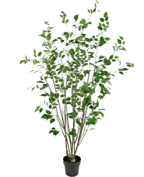 Den kunstige planteficus 180 cm er et højt kunstigt træ i en potte med flere slanke brune stammer og tætte grønne blade mod en almindelig hvid baggrund.