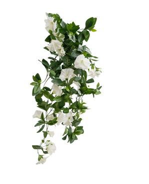 De Kunst hangplant Petunia 70 cm wit heeft groene bladeren en witte trompetvormige bloemen in een trapsgewijs wijnstokachtig ontwerp, tegen een effen witte achtergrond.
