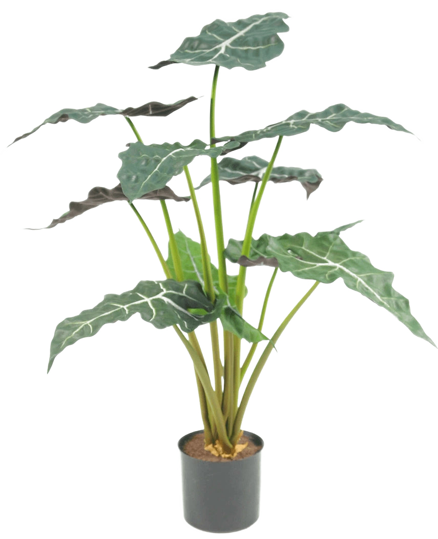 Den kunstige plante Alocasia UV 67 cm er en kunstig potteplante med store, mørkegrønne, pilformede blade og slående hvide årer, afbildet på en almindelig hvid baggrund.
