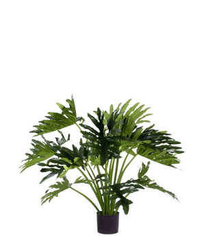 Den kunstige plante Philodendron UV 90 cm har store, dybt fligede grønne blade i en potte, perfekt som en stueplante med lav vedligeholdelse til at tilføje grønt indendørs. På en hvid baggrund giver det en naturlig stil uden vedligeholdelse.