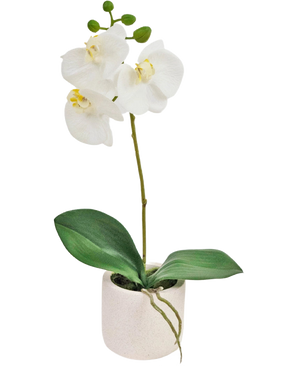 Artificial Orchid Real Touch 30 cm hvid har naturtro hvide orkidéblomster og grønne blade i en lille hvid potte, perfekt til at tilføje elegance til ethvert rum.