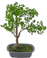 De Kunstplant Bonsai Juniper 40 cm heeft een weelderige groene bonsai met een dikke stam en fijne takken in een grijze rechthoekige pot met mosgrond, perfect weergegeven tegen een witte achtergrond.