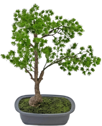 Kunstig plante Bonsai Enebær 40 cm