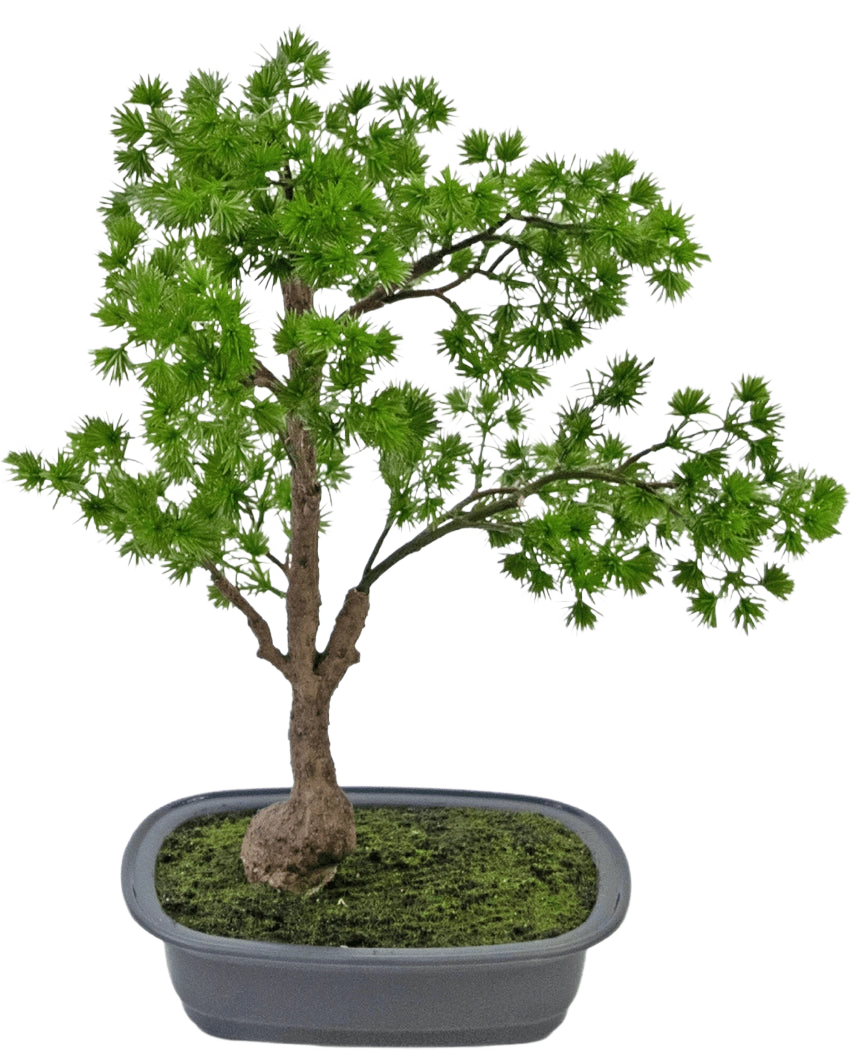 De Kunstplant Bonsai Juniper 40 cm heeft een slanke stam en weelderig groen blad en staat in een ondiepe rechthoekige grijze pot met mos. De achtergrond is effen wit.