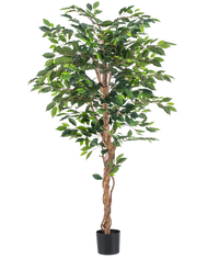Kunstig plante Ficus Green 180 cm