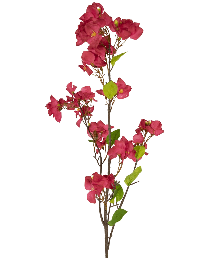 Den Kunstige Blomst Bougainvillea 120 cm bordeaux har en enkelt stilk med flere dybe bordeaux kunstige blomster og grønne blade på slanke brune grene, mod en almindelig hvid baggrund.