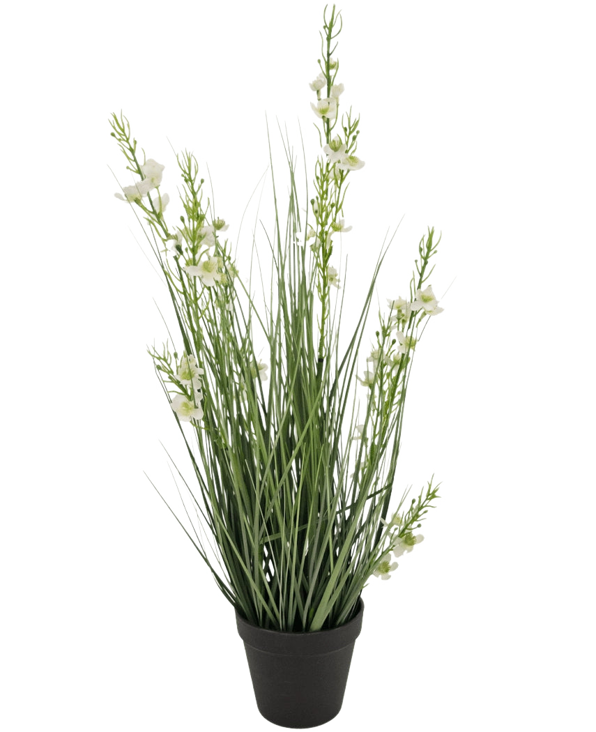Kunstgræs Hirse Løg græspotte 65 cm brandhæmmende har høje, slanke grønne græslignende blade og flere stængler med små hvide blomster i en sort potte, mod en almindelig hvid baggrund.