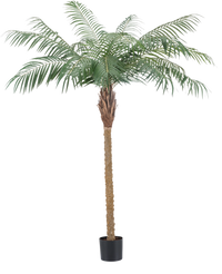 Kunstig plante Phoenix Palm De Luxe 180 cm