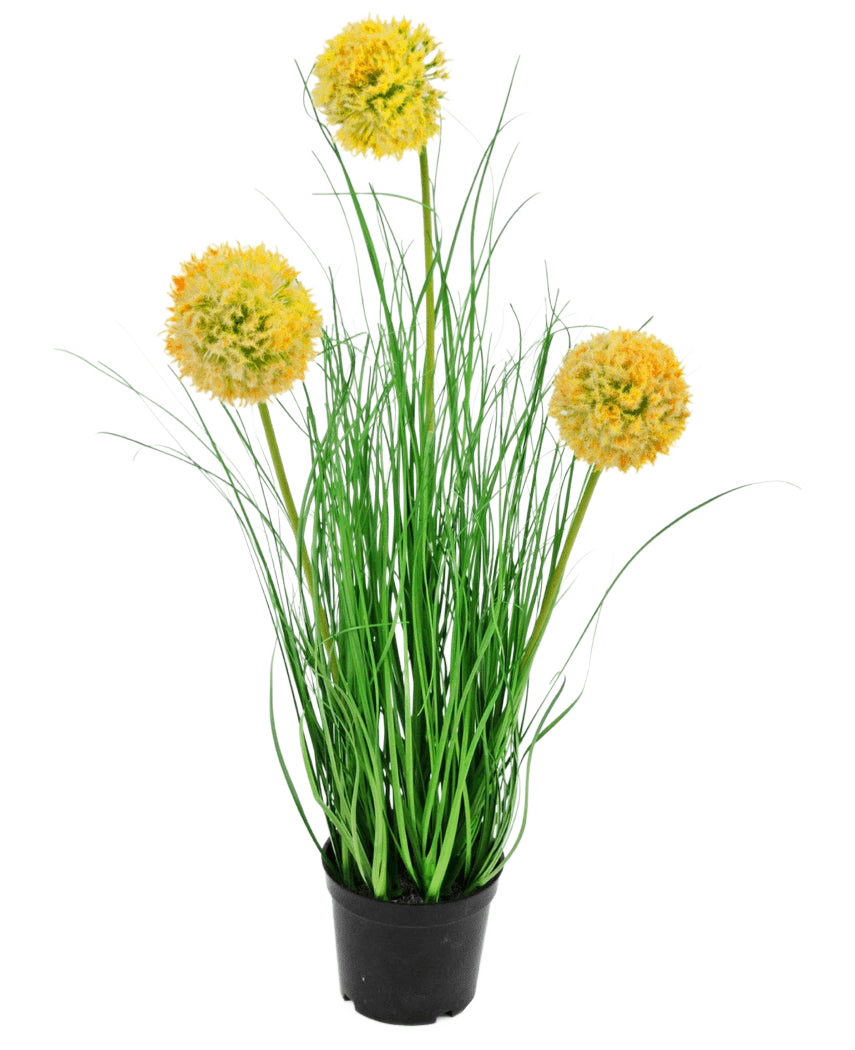 Kunstgræsplanteløg 50 cm brandhæmmende middel har lange, tynde grønne blade og tre runde gule luftige blomster på høje stængler, som tilføjer grøn havecharme mod en almindelig hvid baggrund.