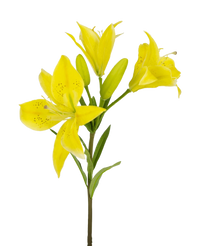 Kunstig blomst asiatisk lilje 66 cm gul