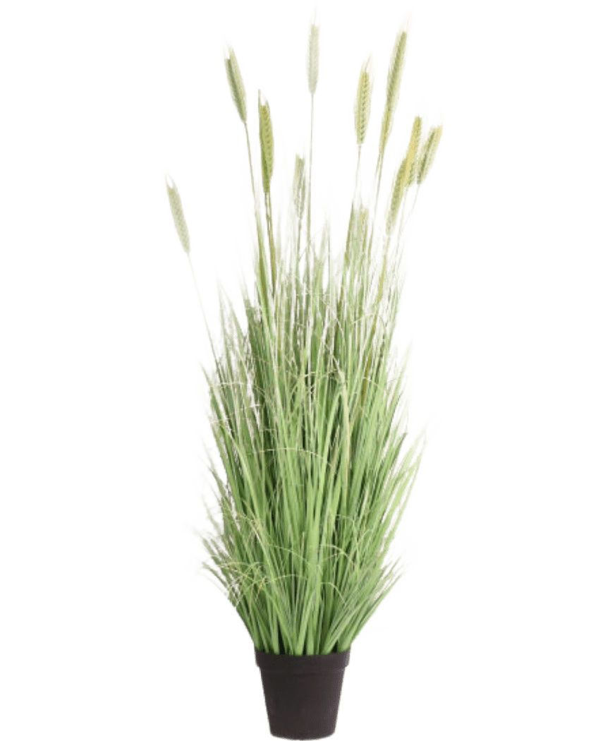 Artificial Gras Plant Green 180 cm brandhæmmende middel har lange, slanke grønne blade og hvedelignende ører i en sort potte - ideel til stilfuld indretning og ekstra sikkerhed.