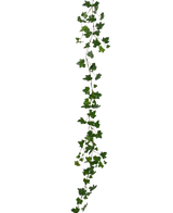 Den kunstige hængeplante Ivy guirlande deluxe 180 cm grøn er en lang, grøn efeukrans med spidse blade, der hænger lodret mod en almindelig hvid baggrund.