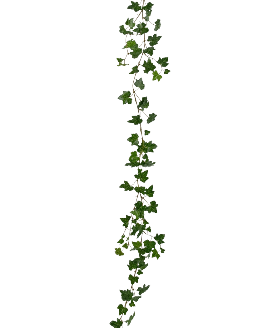 Den kunstige hængeplante Ivy guirlande deluxe 180 cm grøn er en lang, grøn efeukrans med spidse blade, der hænger lodret mod en almindelig hvid baggrund.