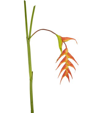 Een enkele Kunstbloem Heliconia 120 cm rood met opvallende rode schutbladeren en een groene steel, geïsoleerd op een witte achtergrond.