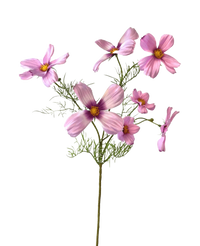 Kunstig blomst Cosmos 74 cm pink