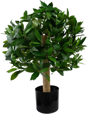 Artificial Laurel UV d40 cm-planten er et lille kunstigt træ med tætte grønne blade i en sort potte, afbildet mod en almindelig hvid baggrund.