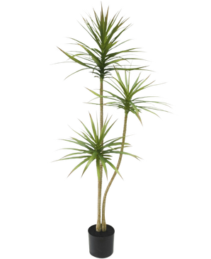 Den kunstige plante Dracaena Fragnans 150 cm er en høj kunstig plante i en potte med tre slanke stængler med tjavsede grønne blade mod en almindelig hvid baggrund.