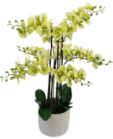 The Artificial Orchid Real Touch 81 cm grøn har lysegrønne orkidéblomster med mørkegrønne blade i en lysegrå potte, mod en hvid baggrund.