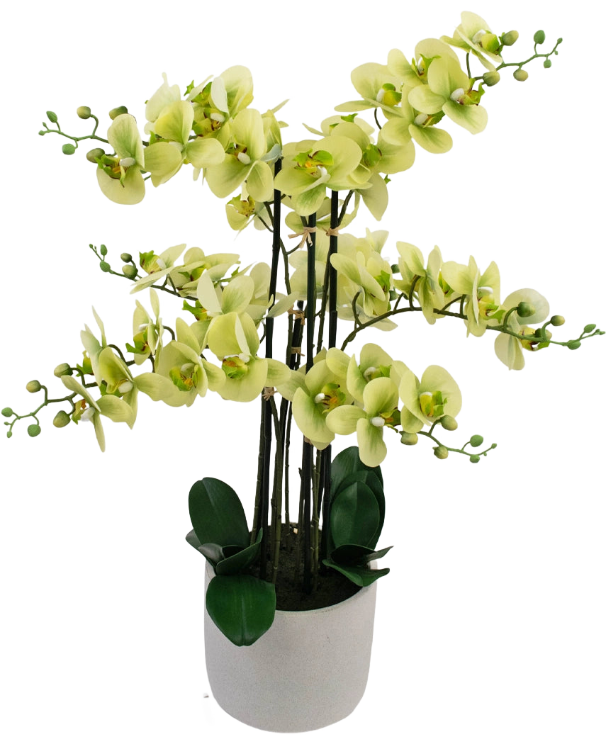 The Artificial Orchid Real Touch 81 cm grøn har lysegrønne orkidéblomster med mørkegrønne blade i en lysegrå potte, mod en hvid baggrund.