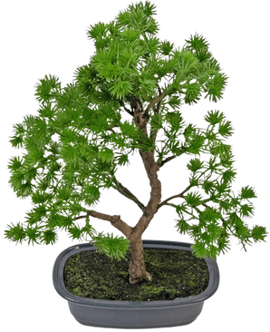 Den kunstige plante Bonsai Juniper 30 cm har tætte lyse grønne blade og en snoet stamme, i en lavvandet grå potte med mørk jord, mod en almindelig hvid baggrund.