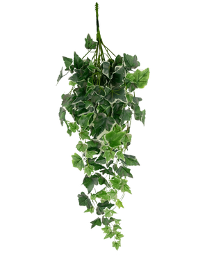 Artificial Ivy 70 cm grøn/hvid har kunstige efeublade i grønt med hvide kanter, arrangeret i en kaskadeform og vist mod en almindelig hvid baggrund.
