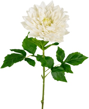 En Kunst Georgine Real Touch hvid 70 cm har en naturtro enkelt hvid dahlia med lagdelte kronblade og grønne takkede blade på en lang stilk, mod en almindelig hvid baggrund.