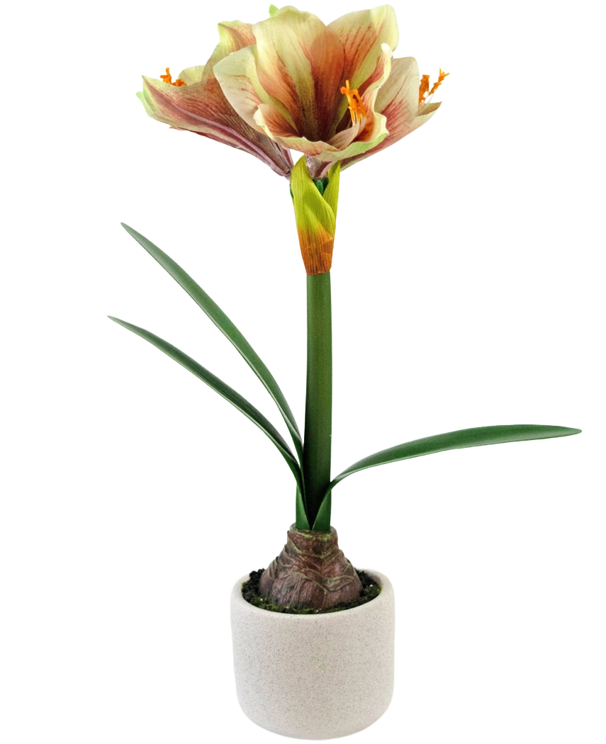 Artificial Flower Amaryllis Real Touch Red/Yellow 48 cm har naturtro grønne blade og en høj stilk med trompetformede røde og gule blomster, smukt præsenteret mod en hvid baggrund.