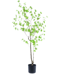 Kunstig plante Enkianthus 150 cm