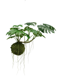 Kunstig hængeplante Monstera Deluxe 60 cm
