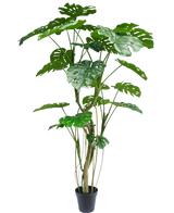 Kunstplanten Monstera 210 cm er en høj potteplante med flere lange stængler og store, skinnende, spaltede grønne blade, der minder om en rigtig monstera. Vist her mod en almindelig hvid baggrund.
