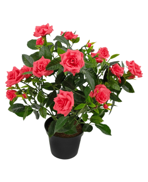 Artificial Plant Mini Rose UV 35 cm har en sort potte fyldt med en frodig kunstig rosenplante med flere blomstrende lyserøde roser og grønne blade mod en hvid baggrund.