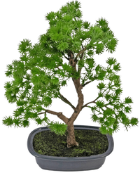 Kunstig plante Bonsai Enebær 30 cm