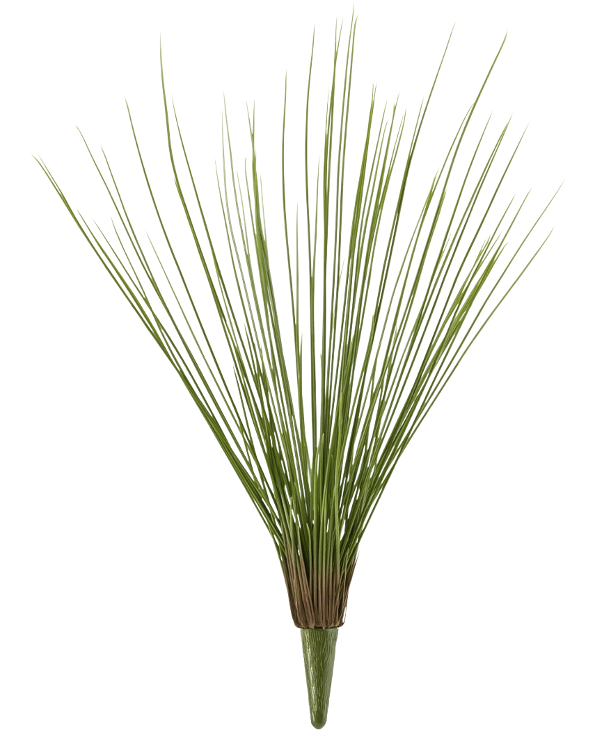 Kunstgræsplanten Royal Grass UV 60 cm har høje, tynde, grønne kunstgræsstængler, der er bundtet i bunden og vifter udad mod en almindelig hvid baggrund.