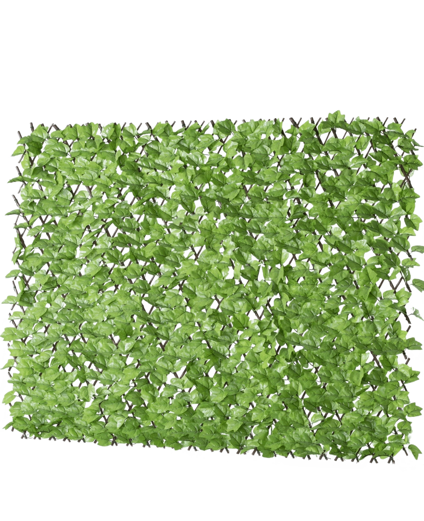 Artificial Hedge Ivy Extendable 200x100 cm er et rektangulært kunstigt grønt bladpanel på et gitter, designet til at ligne en grøn hæk eller privatskærm, afbildet på en hvid baggrund.