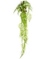 De Kunst hangplant Varen Deluxe 150 cm heeft lange, groene bladeren die naar beneden vallen, tegen een effen witte achtergrond.