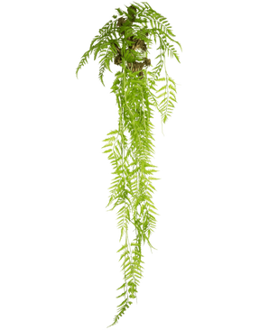 De Kunst hangplant Varen Deluxe 150 cm heeft lange, groene bladeren die naar beneden vallen, tegen een effen witte achtergrond.